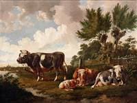Bull with resting cows and calf at a fence