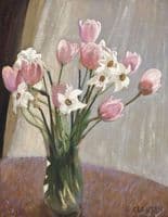 Tulips and Narcissi