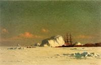 In the Arctic