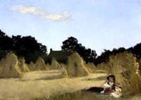 A Harvest Landscape