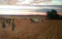 The Ploughing Match