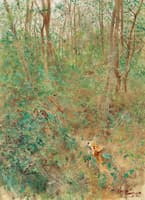 Fox Looking at Birds