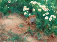 Partridge with Daisies