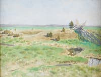Sunlit Landscape