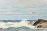 Waterfowl Flying Over the Rocks