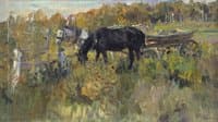 Horses