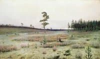 The Moss