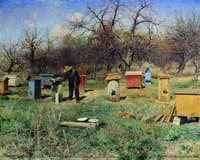 Bee Garden in Spring