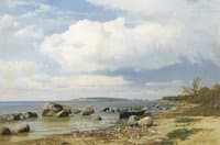 The Seashore