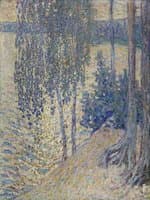 Birches