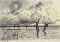The Flood