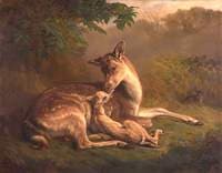 Deer and a Fawn