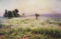 The Meadow