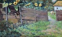 Summer in Ukraine