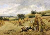 Harvest Time