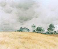The Barleyfield