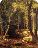 Pool in the Woods