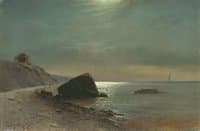 Moonlit Night