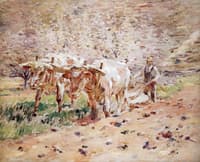 Oxen Ploughing