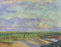 Field under the Cloudy Sky