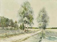 Birch Trees by the Road