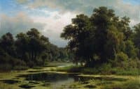 An Overgrown Pond