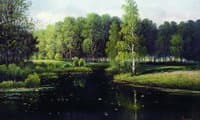 Forest Landscape