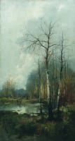 Forest Landscape