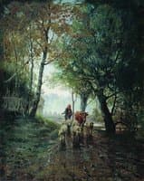 Forest Landscape