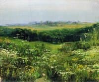 Flowering Meadow