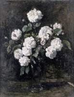 Pink Roses
