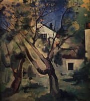 Spring Landscape