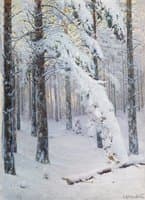 Forest in Winter