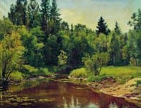 Forest Stream