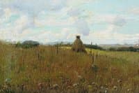 Field