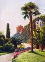 A Palm Tree