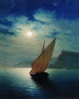 Moonlit Night