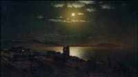 Moonlit Night