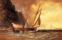 Under the Palisades