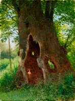 Old Oak