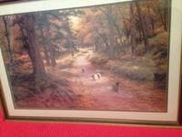 sheep on a wooded path