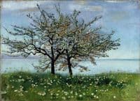 Spring Landscape