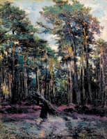 In the Forest