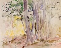 The Bois de Boulogne