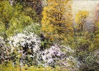Spring Flowers