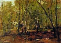 Forest Landscape