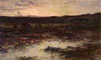 Peat Hags on the Moor