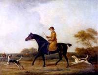 A Chestnut Hunter