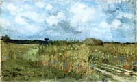 Blooming Field