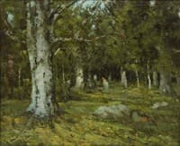 Forest Interior